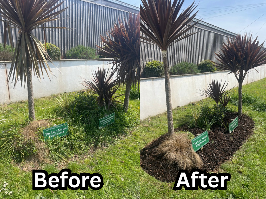 Weekly garden maintenance at Kingskerswell Community Gardens