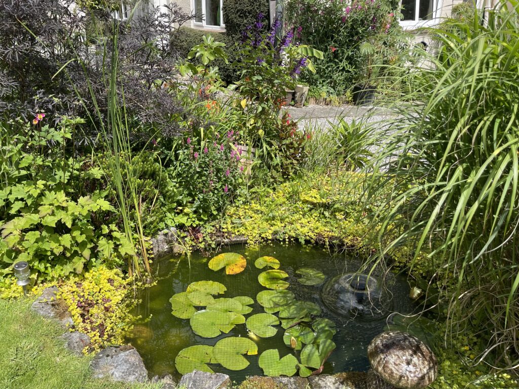 Designing and creating a small garden pond and flower beds in Buckfastleigh
